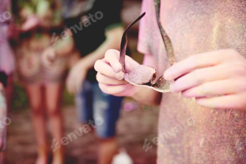 Preview: Detail from summer holi festival