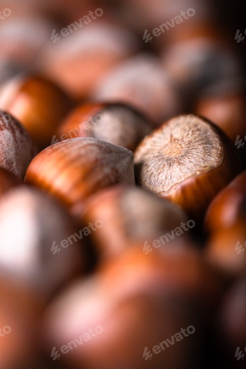 Preview: Vertical macro shot of hazelnut nuts heap close up