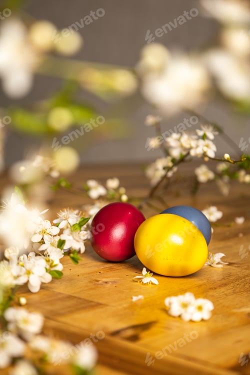 Preview: spring background, easter eggs on a wooden table, flowering branches of mirabella