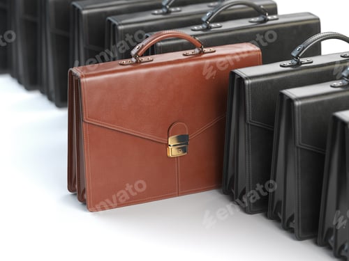 Preview: Choosing stock market portfolio or briefcase concept. One unique