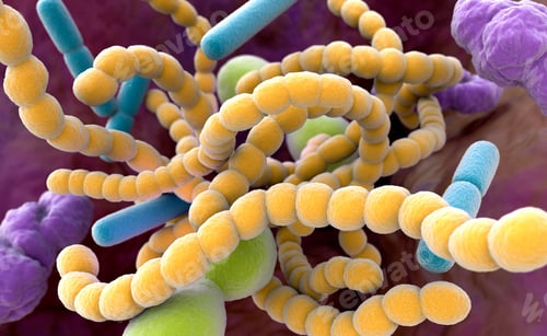 Preview: Halitosis Bacteria