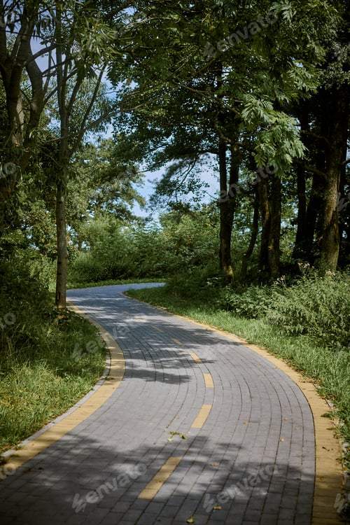 Preview: Serene forest cycleway curve under sunny sky
