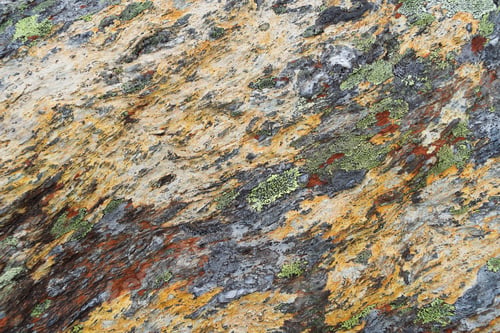Preview: Texture of lichen on stone