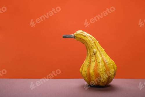 Preview: Decorative pumpkin with orange background. Copy space.