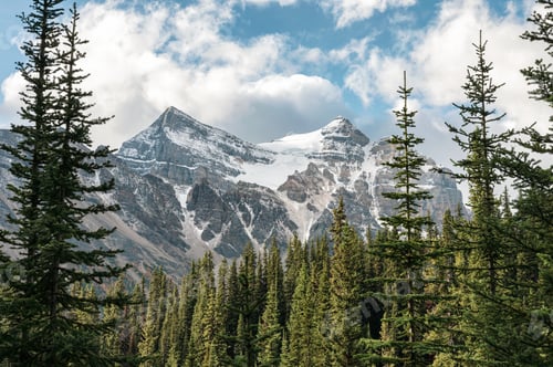 Preview: Rocky mountains with pine forest and blue sky at Banff national park