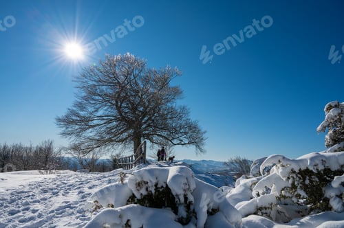 Preview: Beautiful shot of snowy landscape