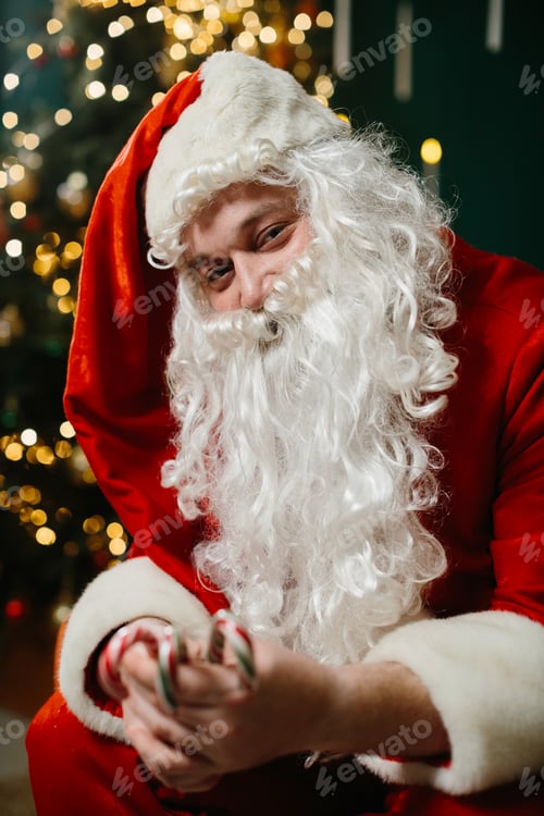 Preview: Santa claus holding candy canes in front of christmas tree
