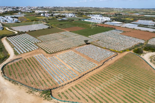 Preview: Aerial drone view of greenhouses in a row, growing vegetables and fruits. Food cultivation farming