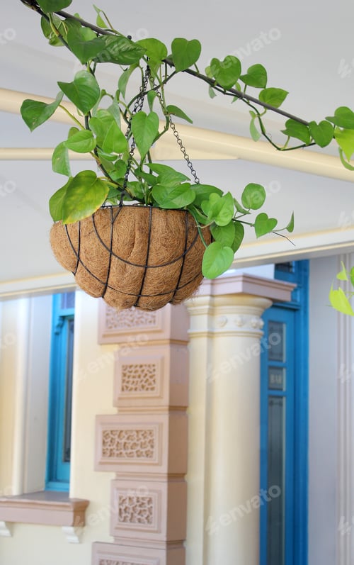Preview: Hanging plant basket