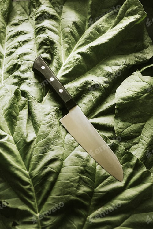 Preview: Chef's knife on a fresh vegetable flatlay