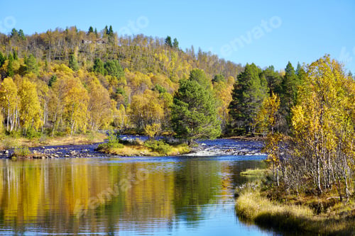 Preview: Fall coloured trees line the shore of the Stroemme-elva river north of Roeros, Norway