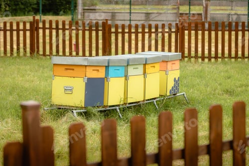 Preview: Beehives in countryside garden during spring
.CR2