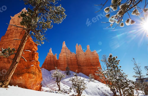Preview: Winter Bryce