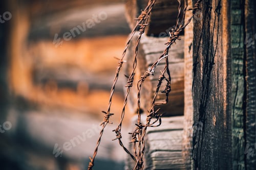 Preview: Rusty barbed wire on wooden wall background.