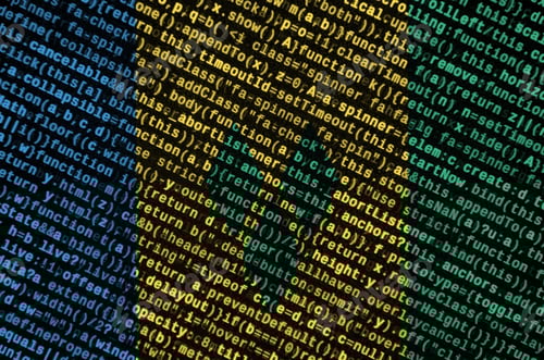 Preview: Saint Vincent and the Grenadines flag is depicted on the screen with the program code