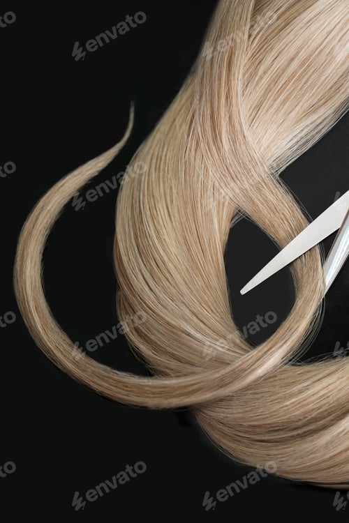 Preview: A strand of blond hair with scissors on a black background. Close-up.