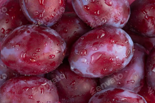Preview: Fresh plums background. Directly above.