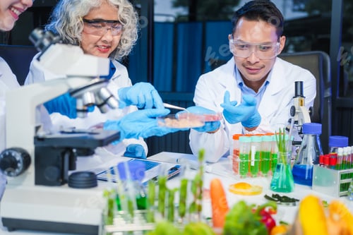 Vista previa: A male scientist and two women conduct plant research in a laboratory. microscopes, petri dishes