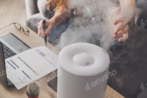 Preview: Woman freelancer uses a household humidifier in the workplace to maintain relative humidity