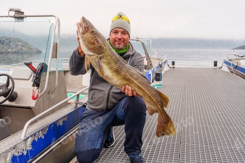 Preview: Fisherman with big cod fish. Norwegian fisherman has caught large Cod in Norwegian Fjord islands