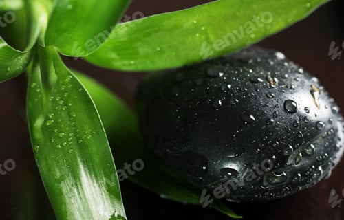 Preview: Massage stones and bamboo leaves
