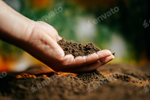 Preview: A close-up shot of human hands holding a clump of fertile soil, through the fingers.