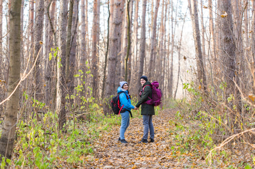 Preview: Travel, tourism, hike and nature concept - Tourists walking in park with backpack dressed in blue