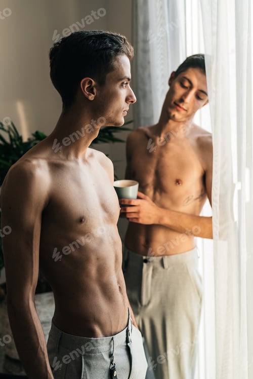 Preview: Stylish shirtless gay couple posing