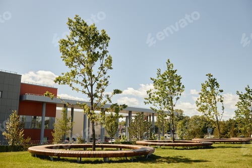 Preview: Landscape of College Campus with Greenery and Benches