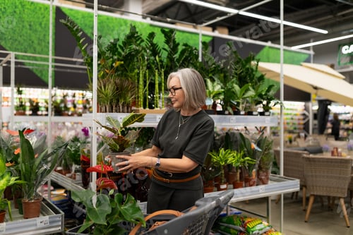 Preview: Middle-aged woman explores home improvement store while shopping for plants and decor items