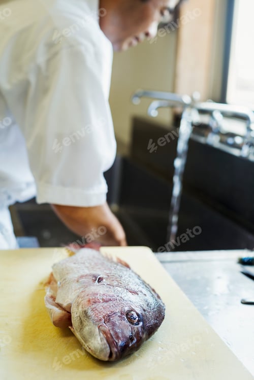 Preview: Chef standing in kitchen of a Japanese sushi restaurant, whole fresh sea bream on chopping board in