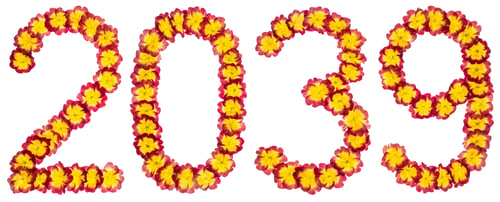 Preview: Inscription 2039, from natural flowers of primula, isolated on white background