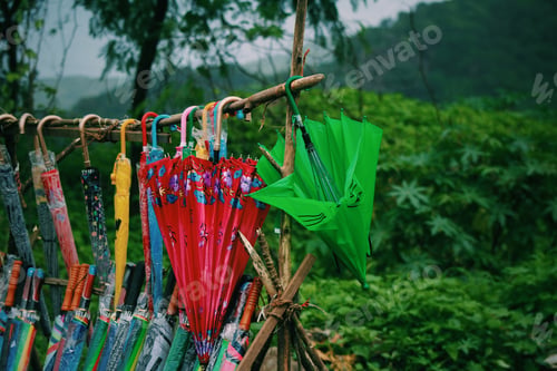 Preview: Colorful umbrellas 🌂 on sale along Mumbai highway onset of monsoon season