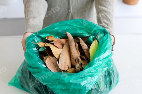 Preview: Person's Hands Holding Green Bag Filled With Dried Leaves, Ready For Organic Waste Disposal