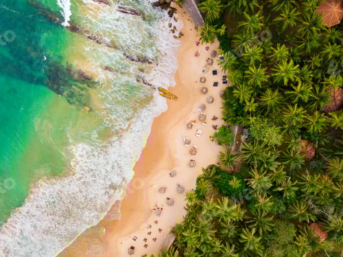 Preview: Romantic sunset on a tropical beach with palm trees