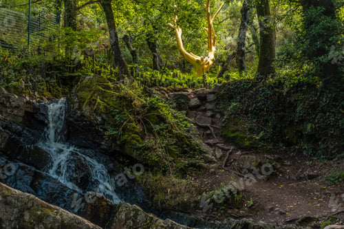 Preview: A waterfall in the Arbre D'or in the Broceliande forest, a French mystical forest