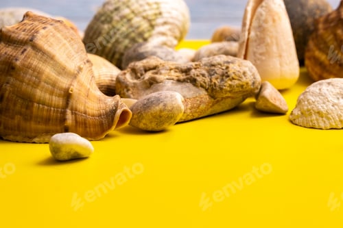 Preview: stones and shells on a blue wooden background and a yellow background.Marine theme