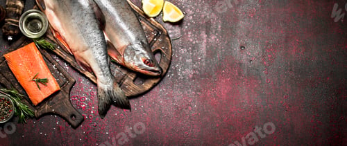 Preview: Fresh salmon with spices and herbs. On rustic background.