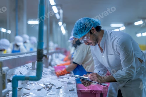 Preview: Workers in a food processing plant sorting fish on a conveyor belt