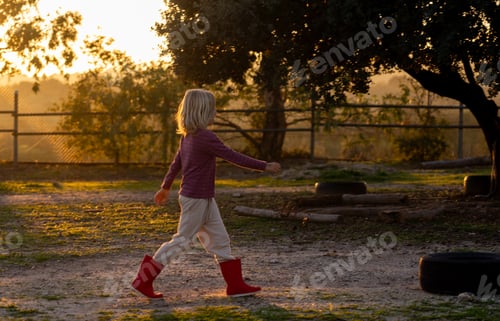 Preview: Boy walking through the field at sunset