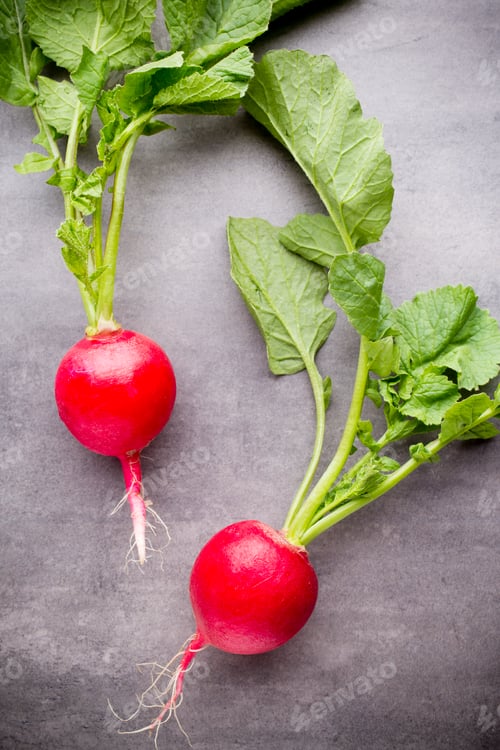Preview: Radish.