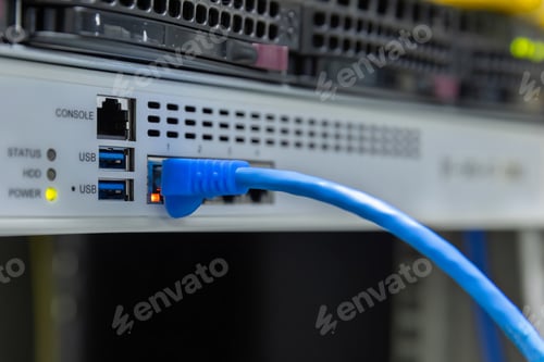 Preview: Network cables connected to switches.