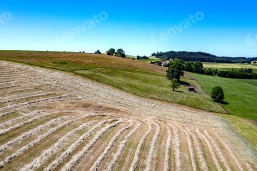 Preview: Processing silage