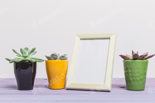 Preview: Brightly colored pots with succulents and a blank frame on a lilac tabletop, showcasing a
