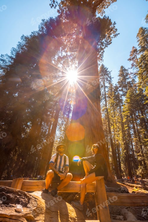Preview: A couple in the giant General Sherman Tree tree in Sequoia National Park