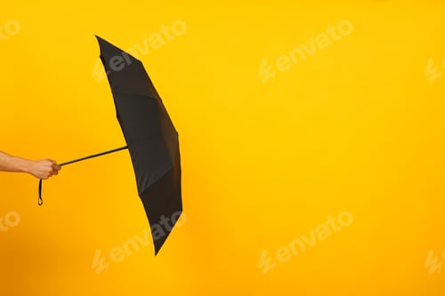 Preview: The main attribute in rainy weather - umbrella