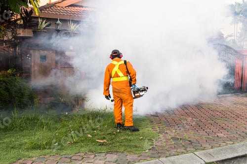 Preview: Worker fogging residential area with insecticides to kill aedes