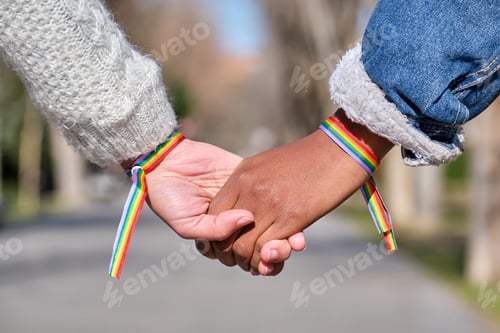 Preview: hands of interracial lesbian couple with lgbt rainbow bracelets