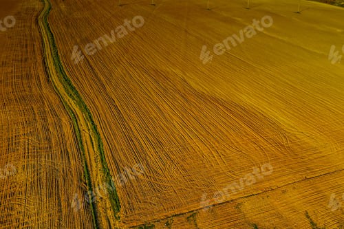 Preview: Aerial photo of a field covered in the grass under the sunlight