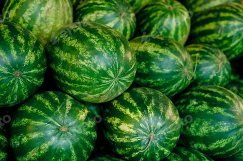 Preview: Large group of big green watermelons in supermarket making heap